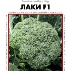 Сорта капусты брокколи с описанием, характеристикой и отзывами, какие лучше выбрать для выращивания в средней полосе России, на Урале