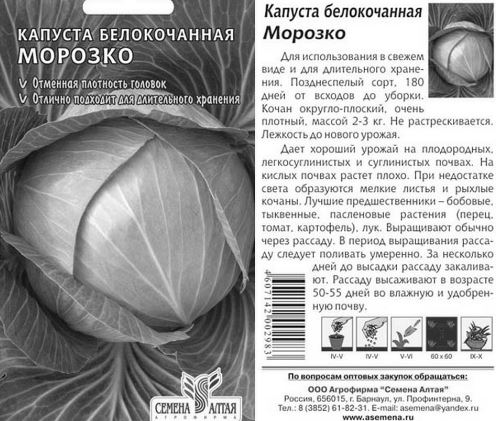 Капуста Морозко:описание и характеристики сорта, особенности выращивания и тонкости ухода