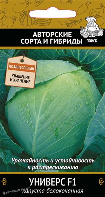 Капуста белокочанная УНИВЕРС F1 от Агрохолдинга «ПОИСК» 🚩Урожайность и… | Интересный контент в группе Урожайка
