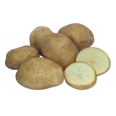 Описание сорта картофеля Карлингфорд