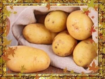 Немецкое качество на наших грядках: картофель «Рамос» — описание сорта с подробной характеристикой и изобильными фото