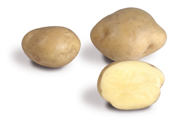 Сорт картофеля Тимо Ханккиян: фото, отзывы, описание, характеристики.
