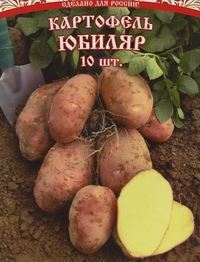 Рейтинг лучших элитных сортов картошки для Урала