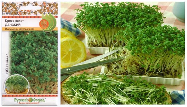 Обильнолистный — сорт растения Кресс-салат