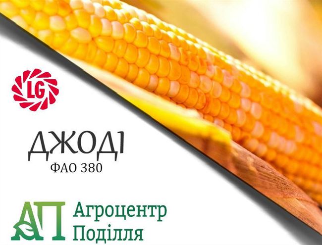 Семена кукурузы Лимагрейн Джоди (ФАО 380)