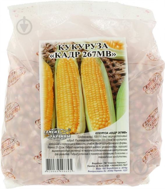 Семена кормовой кукурузы Кадр 267 МВ (F1), ціна 24.48 грн. — Prom.ua (ID#12795273)