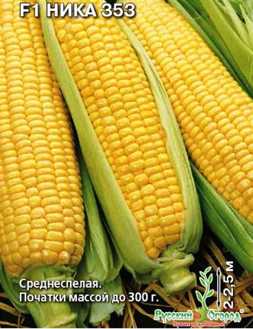 Кукуруза Ника 353 F1 — фото урожая, цены, отзывы и особенности выращивания