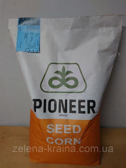 Семена кукурузы П8307 от Пионер