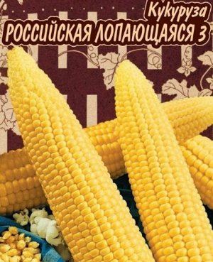 Российская Лопающаяся 3 — сорт растения Кукуруза