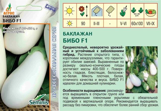 Баклажан Бибо: описание и характеристики сорта, выращивание и уход, отзывы с фото