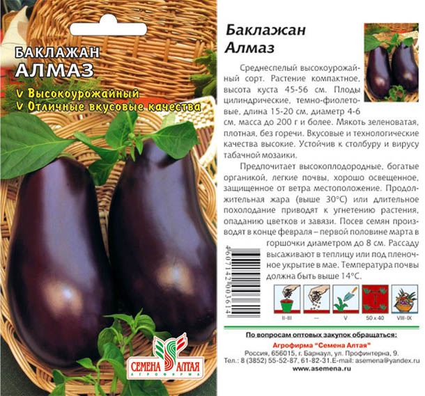 Баклажан Галич: описание и характеристика сорта, урожайность с фото