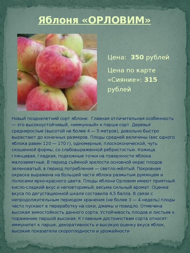 Сорт яблони Лобо – описание и фото, морозостойкость, отзывы