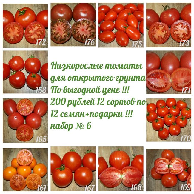 Характеристика и описание сортов минусинских помидоров