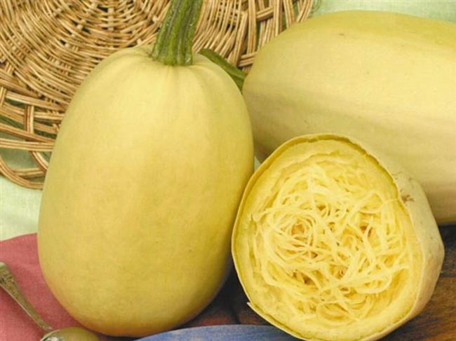 Описание и характеристика сорта кабачка спагетти