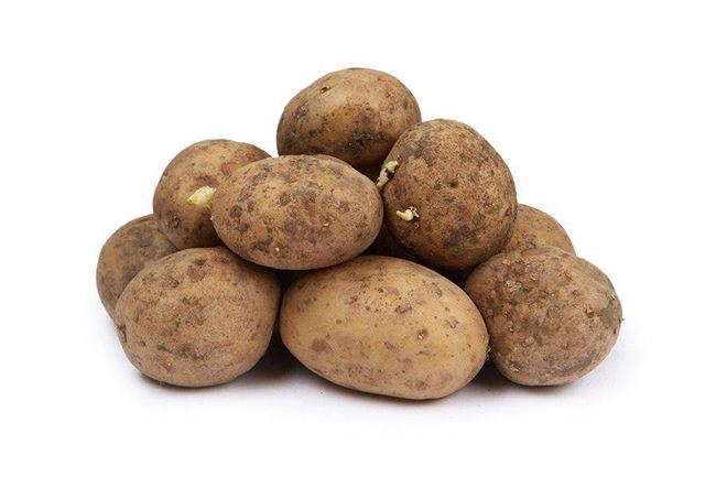 Характеристика сорта картофеля Джура