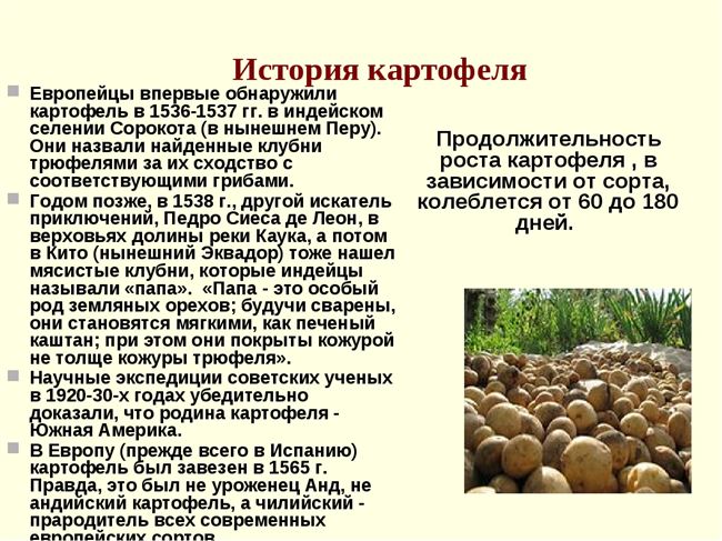История картофелеводства в России