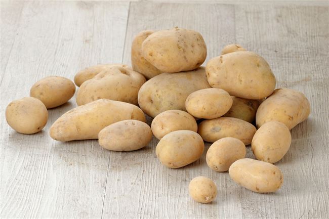 Сорт картофеля крона характеристика отзывы