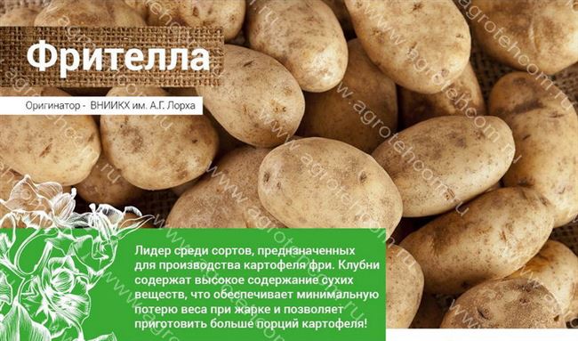 Описание и характеристика сорта картофеля Фрителла