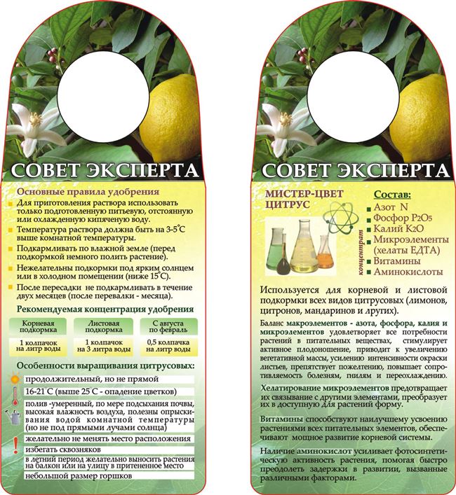 3 правила качественной подкормки лимона
