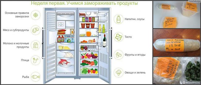 Хранение в холодильнике и морозилке