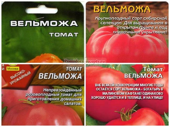 Характеристики и описание сорта томатов вельможа