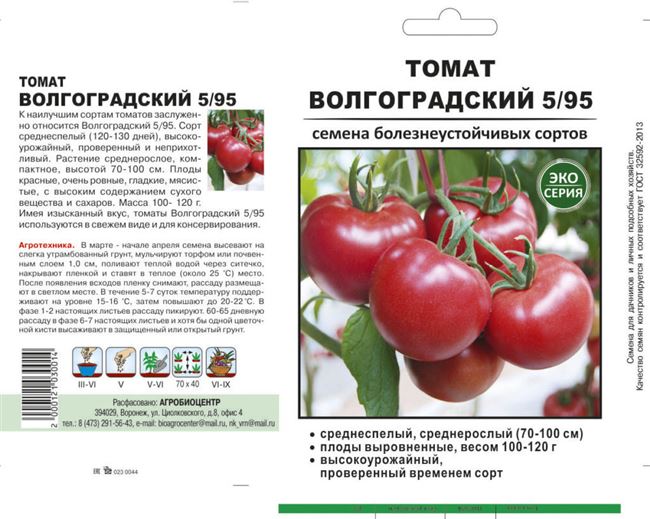 Рекомендации по уходу за помидорами