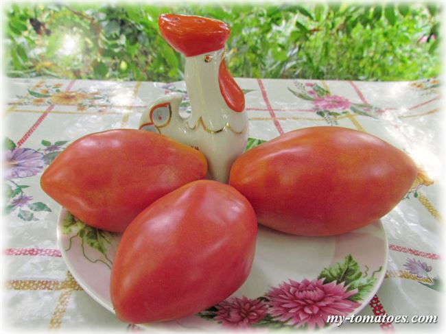 Описание и характеристика сорта томата Капия розовая, отзывы, фото