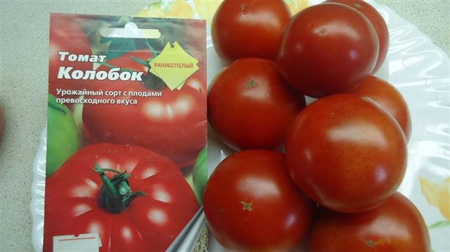 Видео: помидоры сорта Колобок