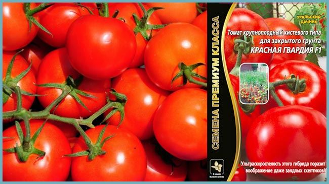 Отзывы огородников о семенах и томатах Красная гвардия