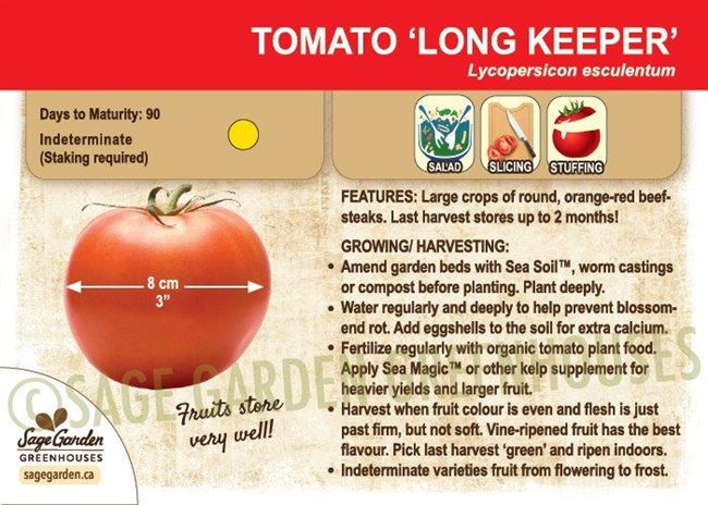 Характеристика и описание сорта томатов Лонг Кипер