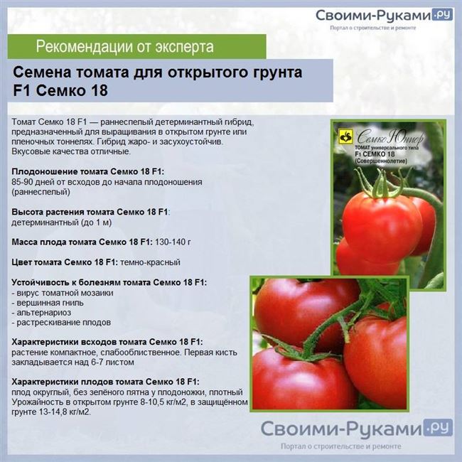 Характеристики томатов и сорта