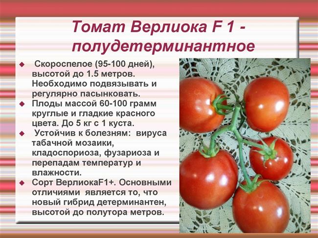 Неинфекционные болезни томата