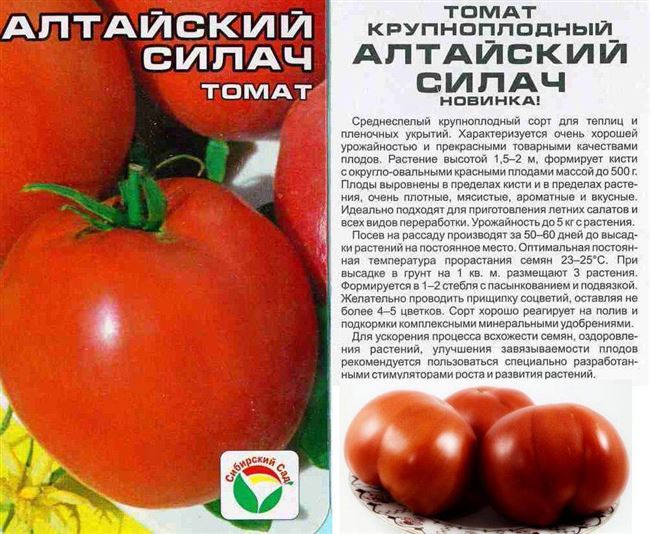 Сортовые характеристики и внешний вид томата