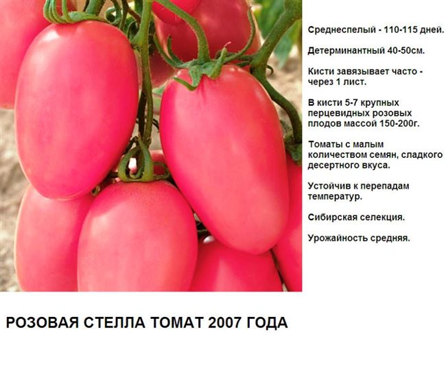 Плюсы и минусы розовых томатов