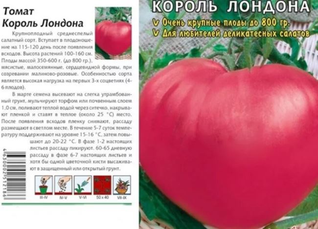 Описание и характеристика томата Розовый царь, отзывы, фото