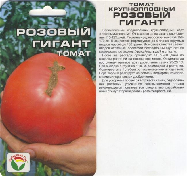 Описание и характеристика томата Сибирский гигант, отзывы, фото