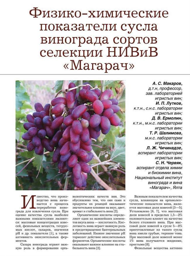 Отзывы виноградарей о сортах селекции института «Магарач»