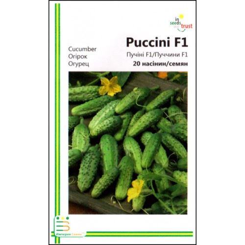 Огурец Пуччини f1: характеристика и описание сорта, фото, посадка и уход, выращивание очень урожайного растения, отзывы