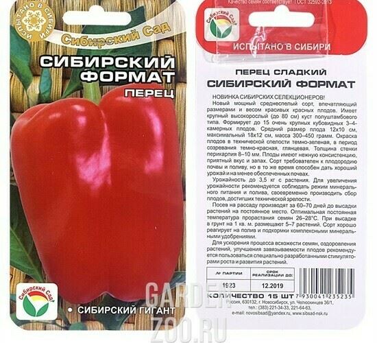 Перец Сибирский формат: отзывы, фото, урожайность, описание