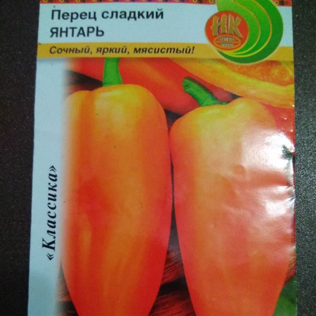 Перец Янтарь (Сладкий): описание и характеристика желтого болгарского сорта, фото семян Гавриш, отзывы об урожайности