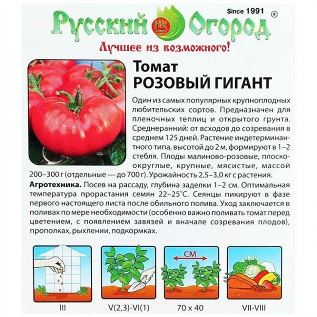Богатый урожай томатов Барон F1 с прекрасным товарным видом — описание сорта и характеристика