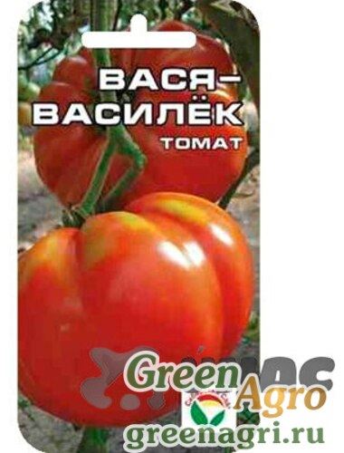 Томат Вася Василек: характеристика и описание сорта, отзывы об урожайности помидоров, фото семян