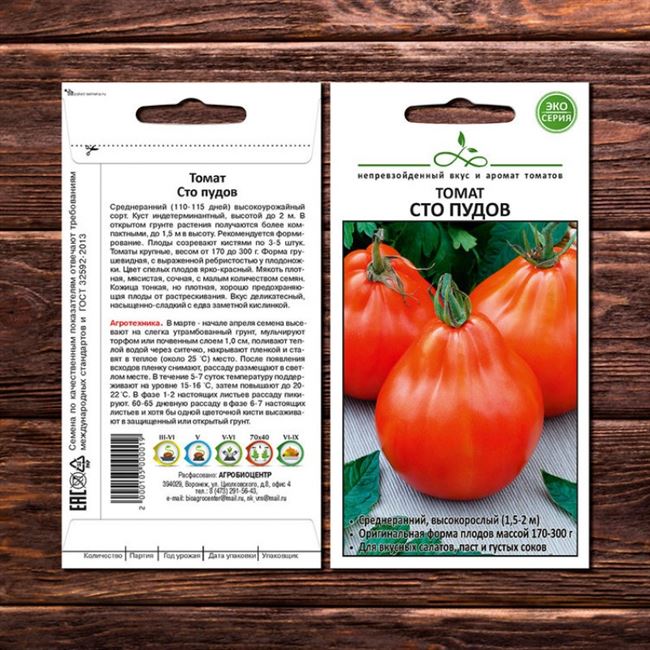Несложный в уходе сорт из Германии — томат Восторг садовода: полное описание помидоров