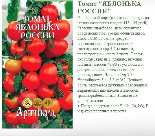 Красный чемпион – призер раннеспелого урожая. Полное описание и советы по выращиванию томата