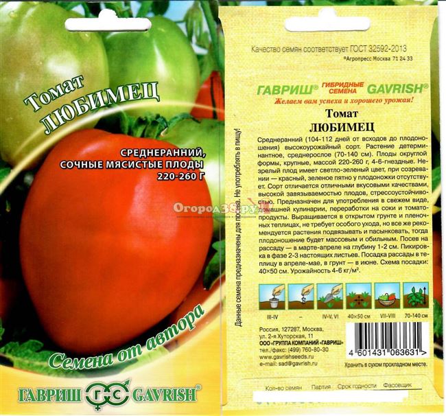 Вкусные, сочные томаты сорта Любимец Подмосковья
