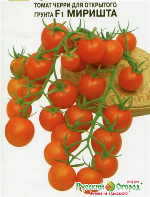 Сорт помидор Миришта: описание, характеристика сорта
