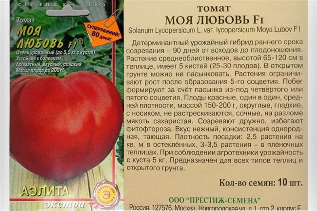 Оправдывает ли свое название томат «Моя любовь»: плюсы и минусы гибрида