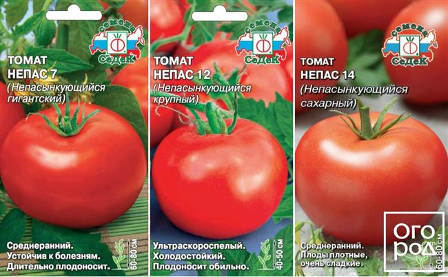 Характеристика томатов сорта непас | Lifestyle | Селдон Новости