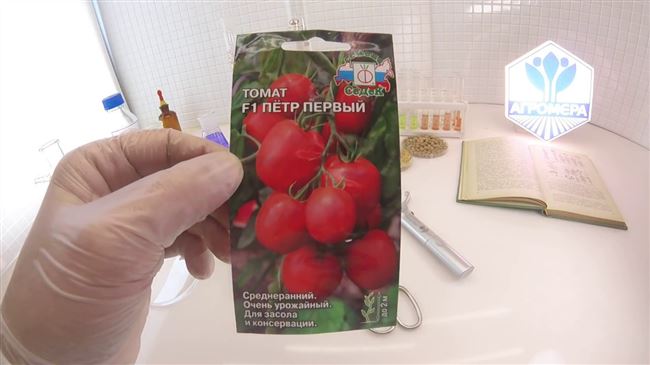 Характеристика и описание сорта томата Петр Первый, его урожайность