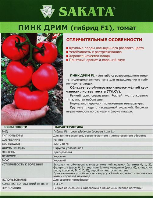 Сорт с мясистыми плодами — томат Пинк F1: описание помидоров и советы по выращиванию